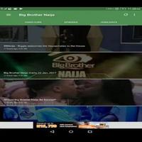 Big Brother Naija Affiche