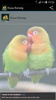 Kicau Burung poster