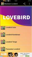 Kicau Lovebird penulis hantaran