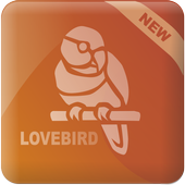 Masteran Lovebird icon