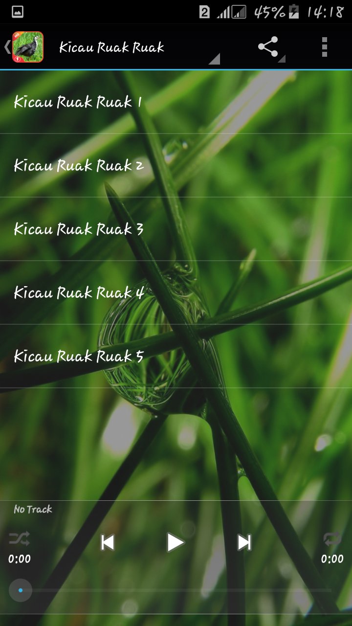 Kicau Ruak Ruak Kareo Padi For Android Apk Download