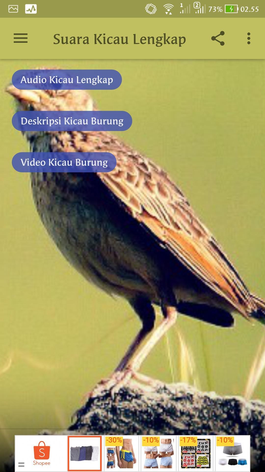Suara Kicau Lengkap For Android Apk Download