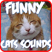 Funny Cats Sounds Ringtones