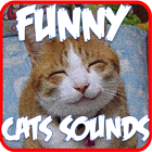 Funny Cats Sounds Ringtones icon