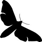The Moth Podcast Listener icône