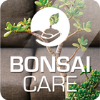 Bonsai Care آئیکن