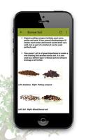 Bonsai Care screenshot 3