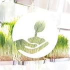 Gardening at Home: Herbs иконка