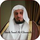 Saad Al-Ghamidi Full Quran mp3 APK