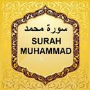 Surah Muhammad mp3 APK