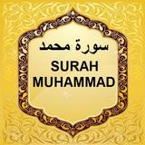 Surah Muhammad mp3 图标