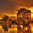 Landschappen