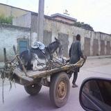 Funny pictures 33 icon