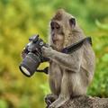 Fotos engraçadas 37