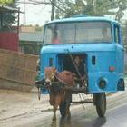 Funny pictures 46 ikona
