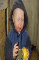 Funny pictures 56 poster