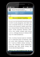 Cucak Ijo Berkicau 截圖 3