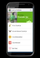 Cucak Ijo Berkicau 海報