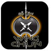 詠春拳 APK