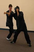 Wing Chun screenshot 1