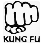 Kung Fu icon