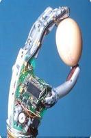 Biomedical engineering poster
