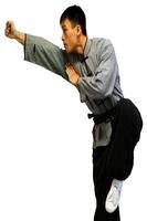 Artes marciais imagem de tela 1