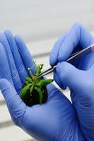 Biotechnology স্ক্রিনশট 1