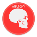Anatomy APK