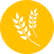 Tarım