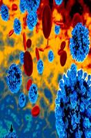 Microbiologie-poster
