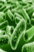 Microbiologie screenshot 2
