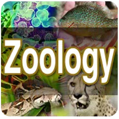 Zoology