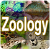 Zoology APK