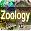 zoologia