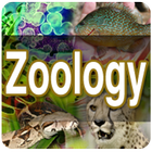 Zoology icon