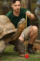 Zoology poster