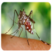Zika