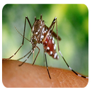 Zika APK