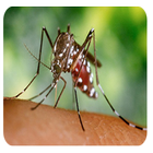 Zika icon