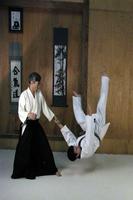 Aikido poster