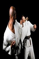 Shotokan Karate poster