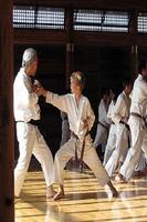 Shotokan Karate capture d'écran 1