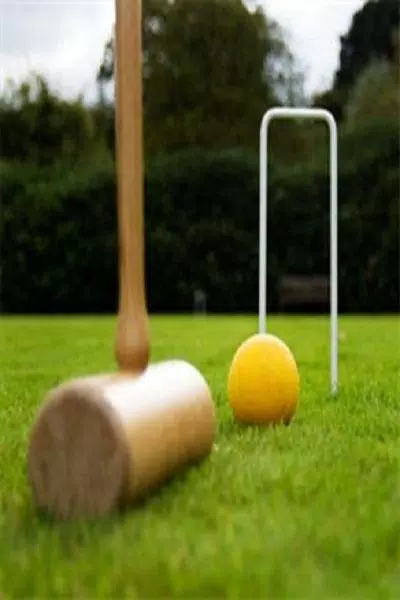 Regras do croquet - Aprenda a jogar! - Regras dos Esportes