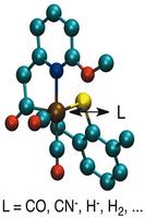 Inorganic Chemistry capture d'écran 2