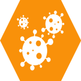 Icona Microbiology