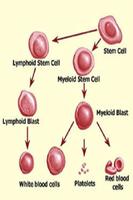 Blood cancer poster