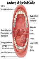 برنامه‌نما Mouth cancer عکس از صفحه