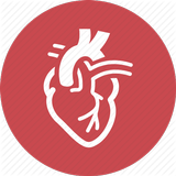 Cardiology আইকন