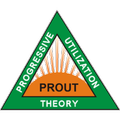 PROgressive Utilization Theory